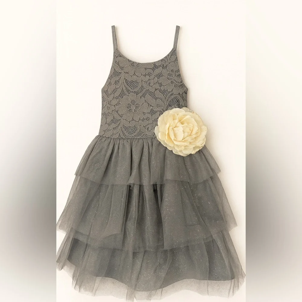 PINK & VIOLET gray dress with lace top and tiered tulle bottom with shimmer gold
